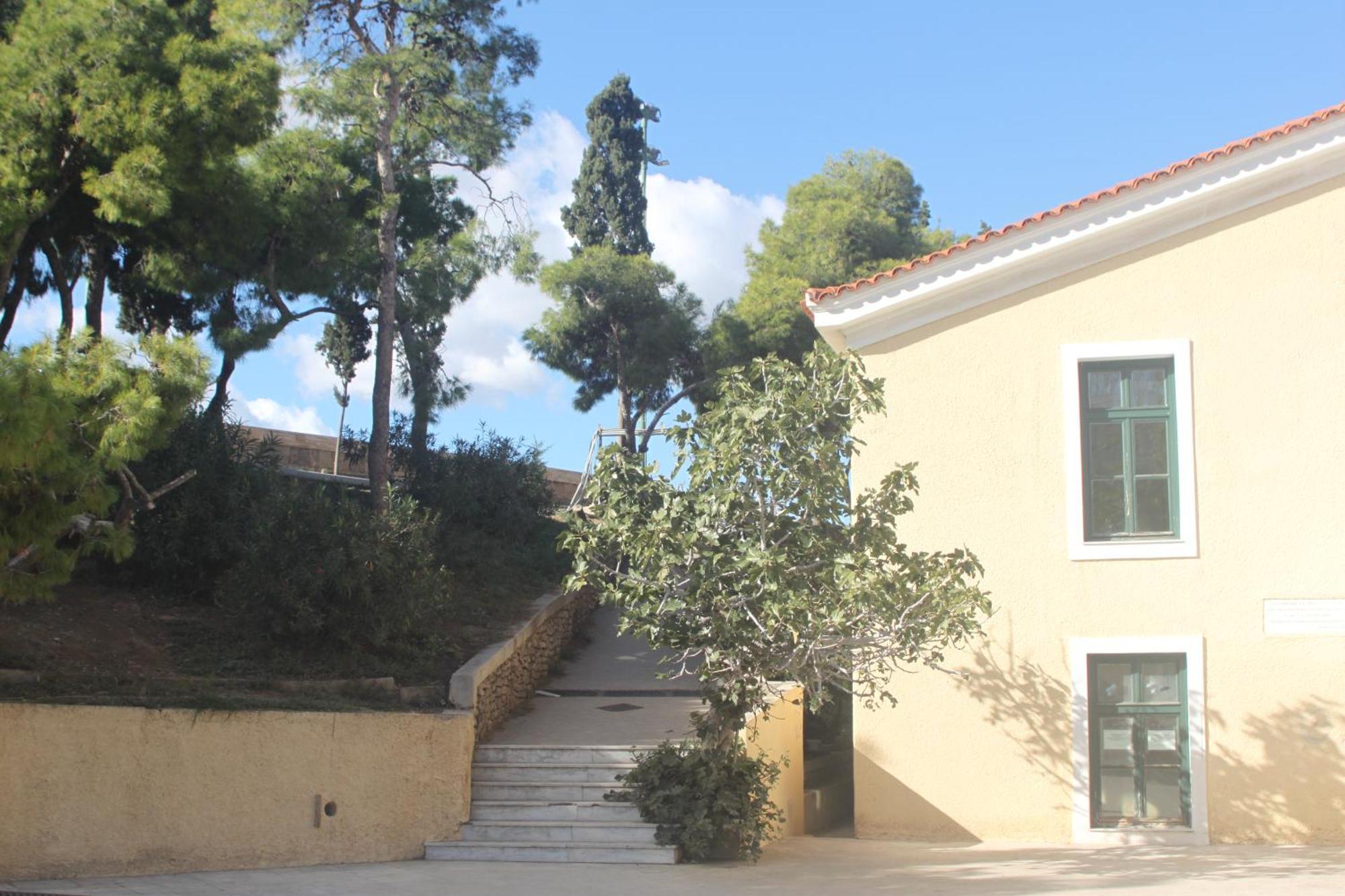 "Under The Olive Tree"- Beautiful Apartment In The Heart Of Ateny Zewnętrze zdjęcie