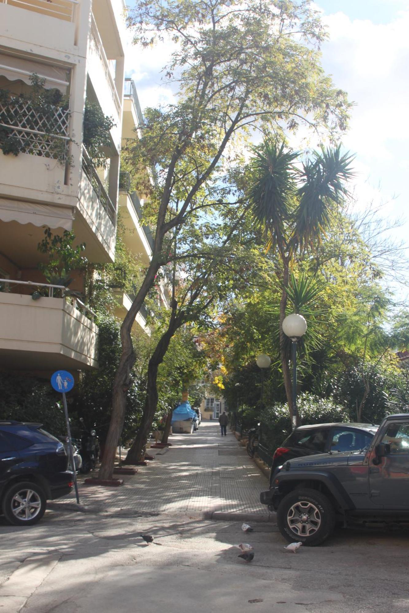 "Under The Olive Tree"- Beautiful Apartment In The Heart Of Ateny Zewnętrze zdjęcie